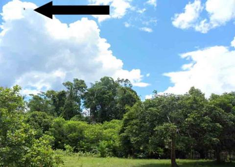 Professor fotografa o que pode ser um Disco Voador no céu  de  Boca do Acre